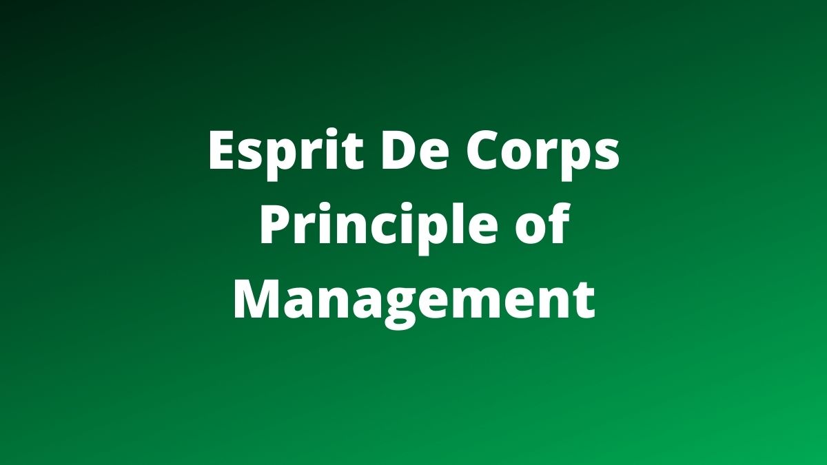 Esprit De Corps Principle of Management