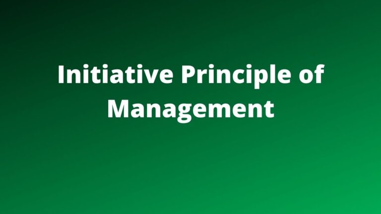 Initiative Principle of Management