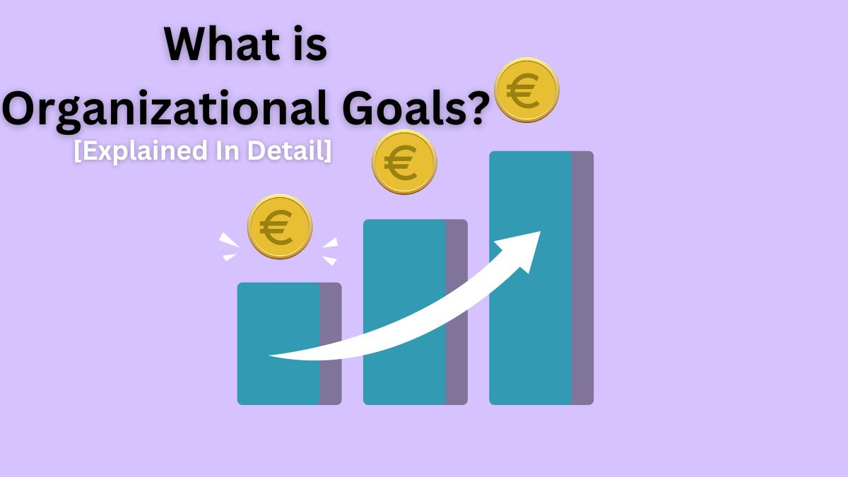 What is Organizational Goals? Types, Examples, & Importance