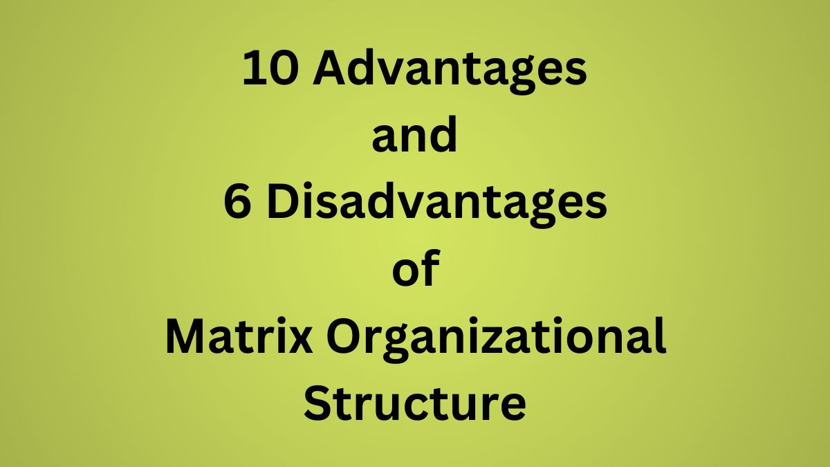 Advantages and Disadvantages of Matrix Organizational Structure