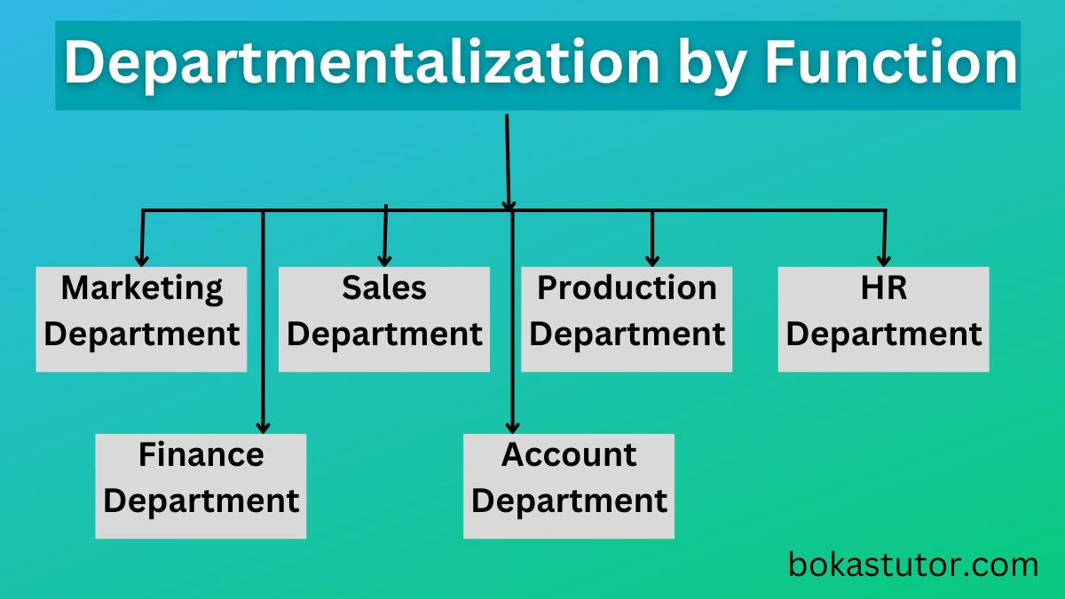 Departmentalization By Function