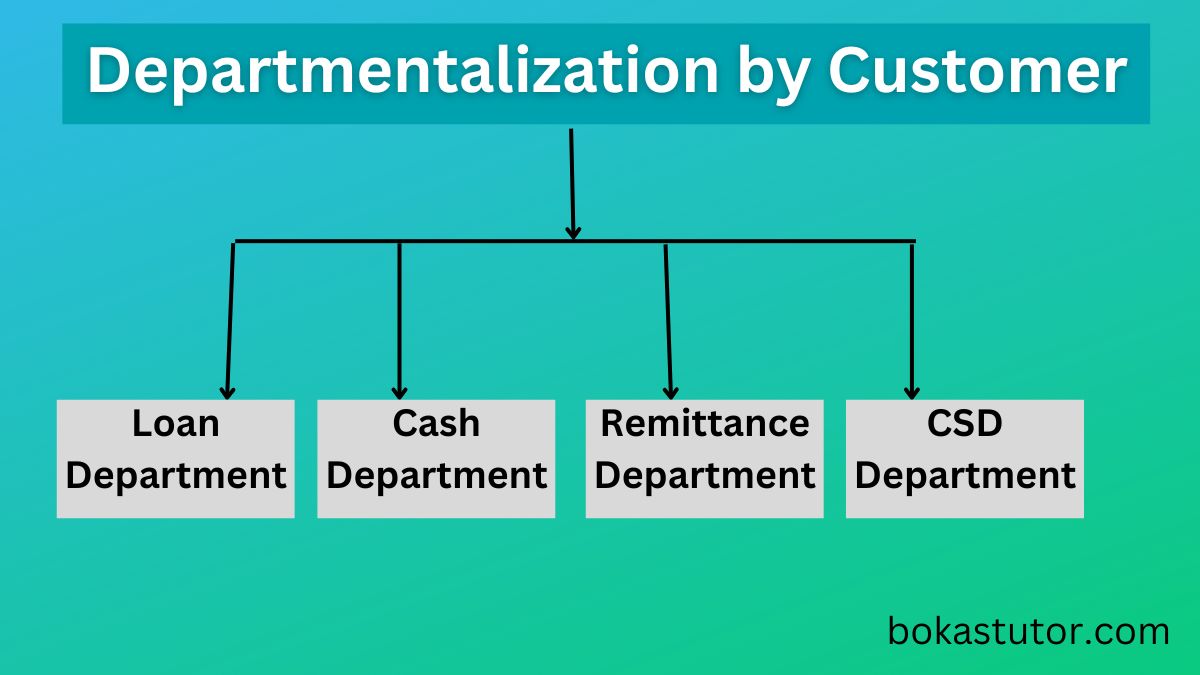 Customer Departmentalization