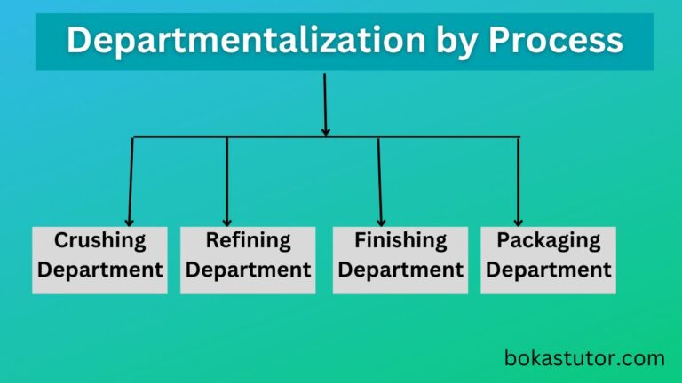 Process Departmentalization