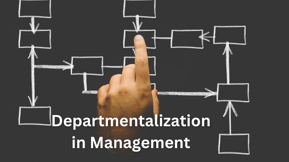 Departmentalization in Management