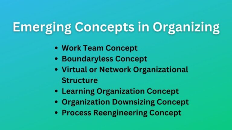 Emerging Concepts in Organizing