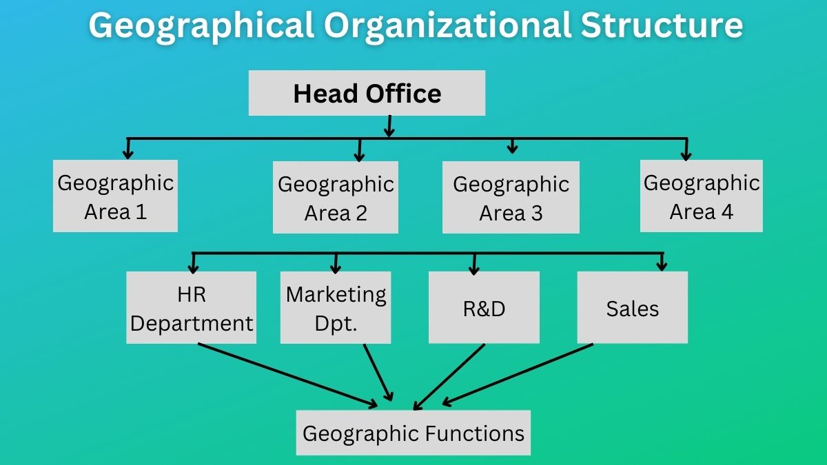 Geographical Organizational Structure