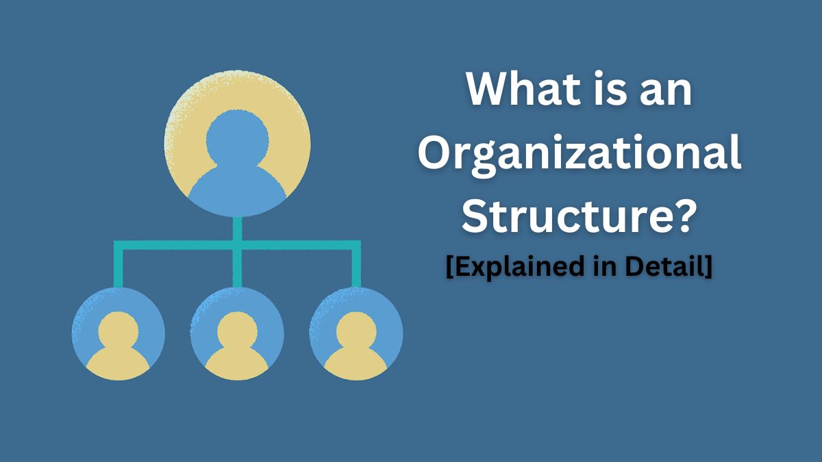 Organizational Structure