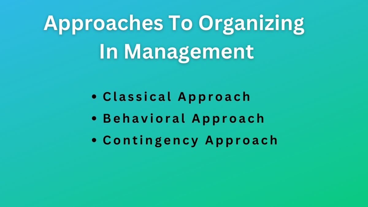 3 Approaches To Organizing in Management - BokasTutor