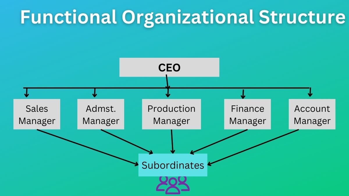 Functional Organizational Structure