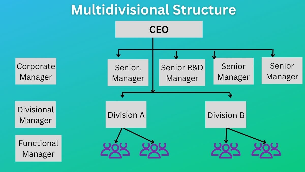 Multidivisional Structure