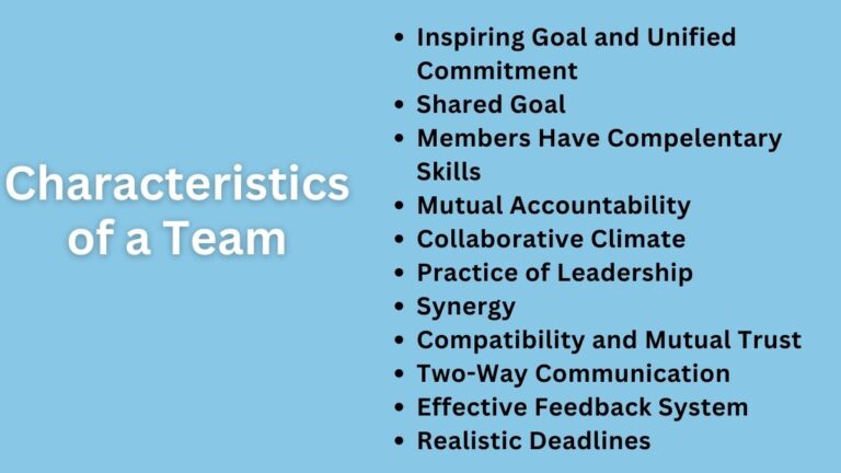 Characteristics of a team