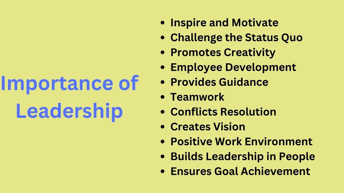 11 Importance of Leadership in the Workplace Bokastutor