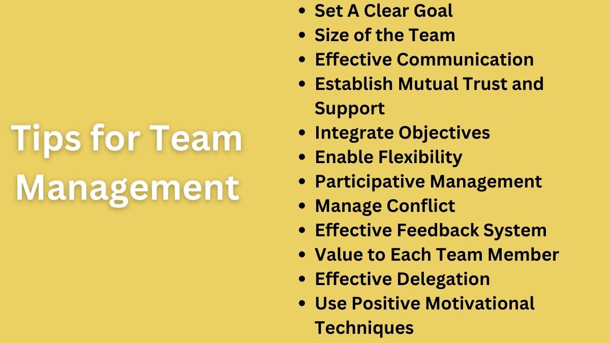 Tips to manage team