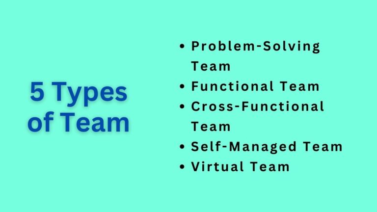 Types of Team