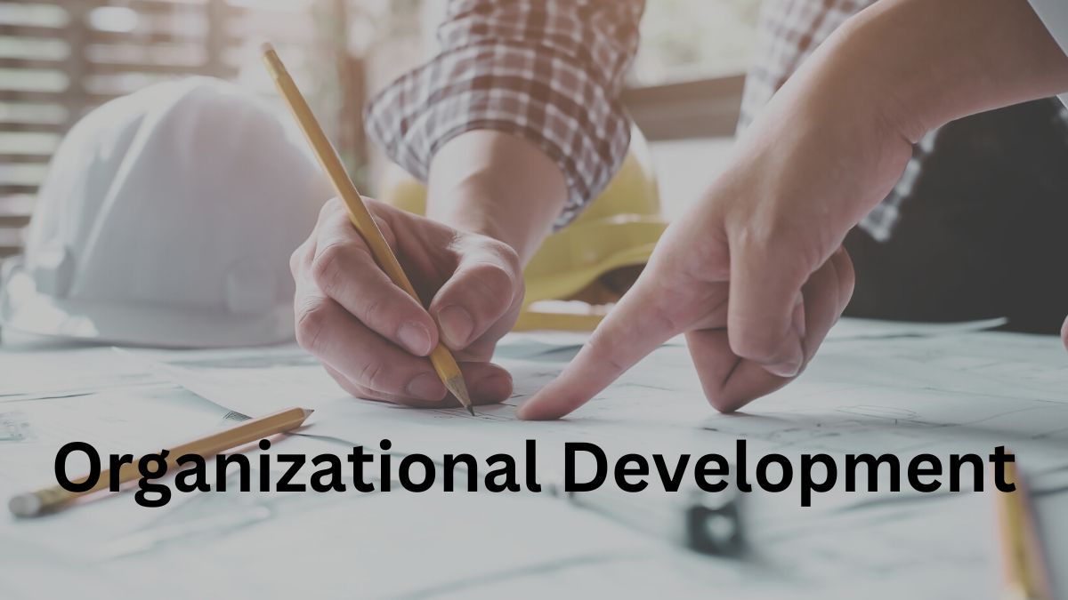 Organizational Development