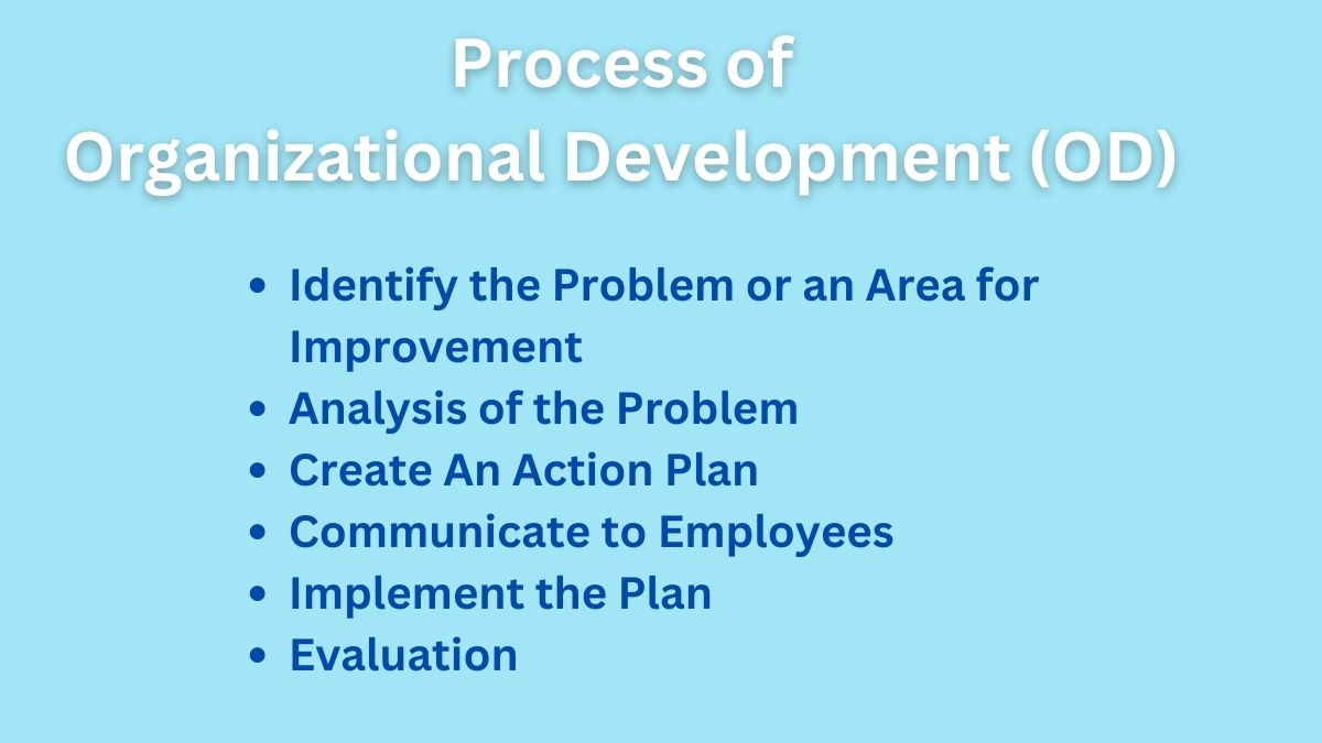 Organizational Development Process