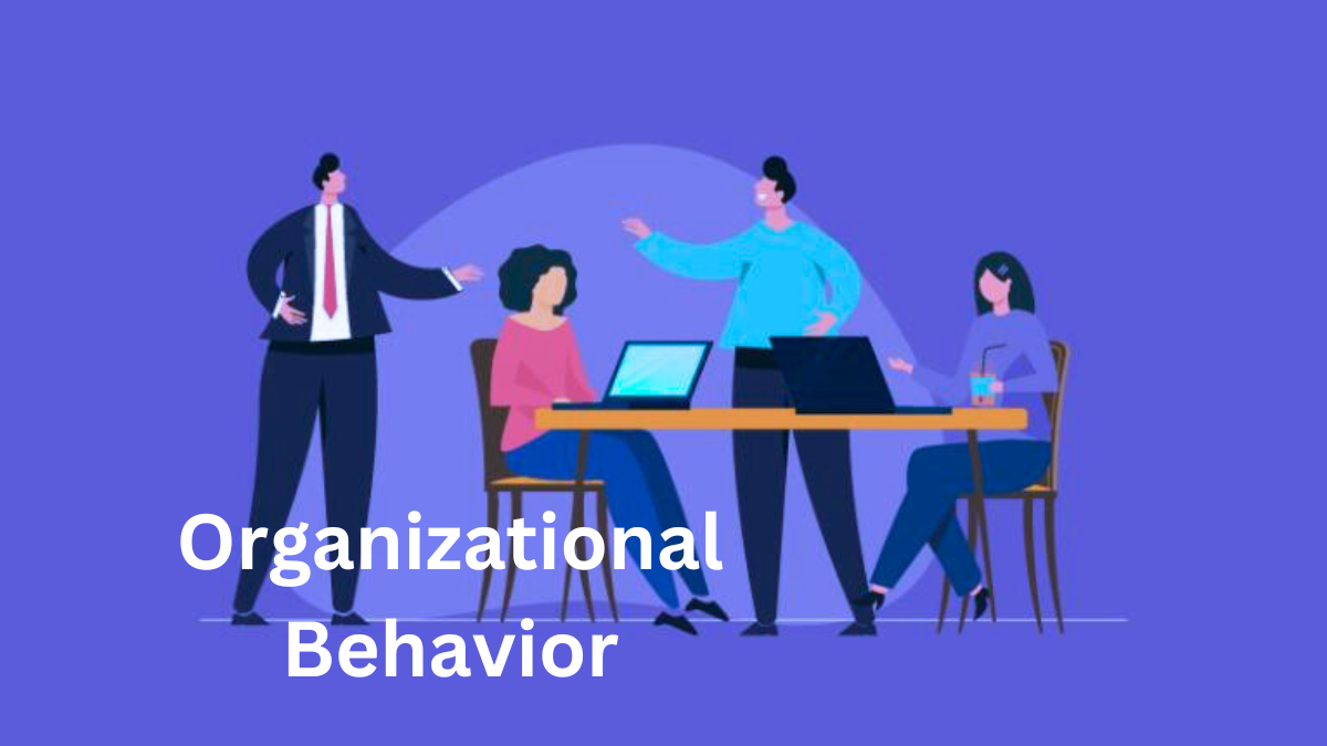 organizational behavior