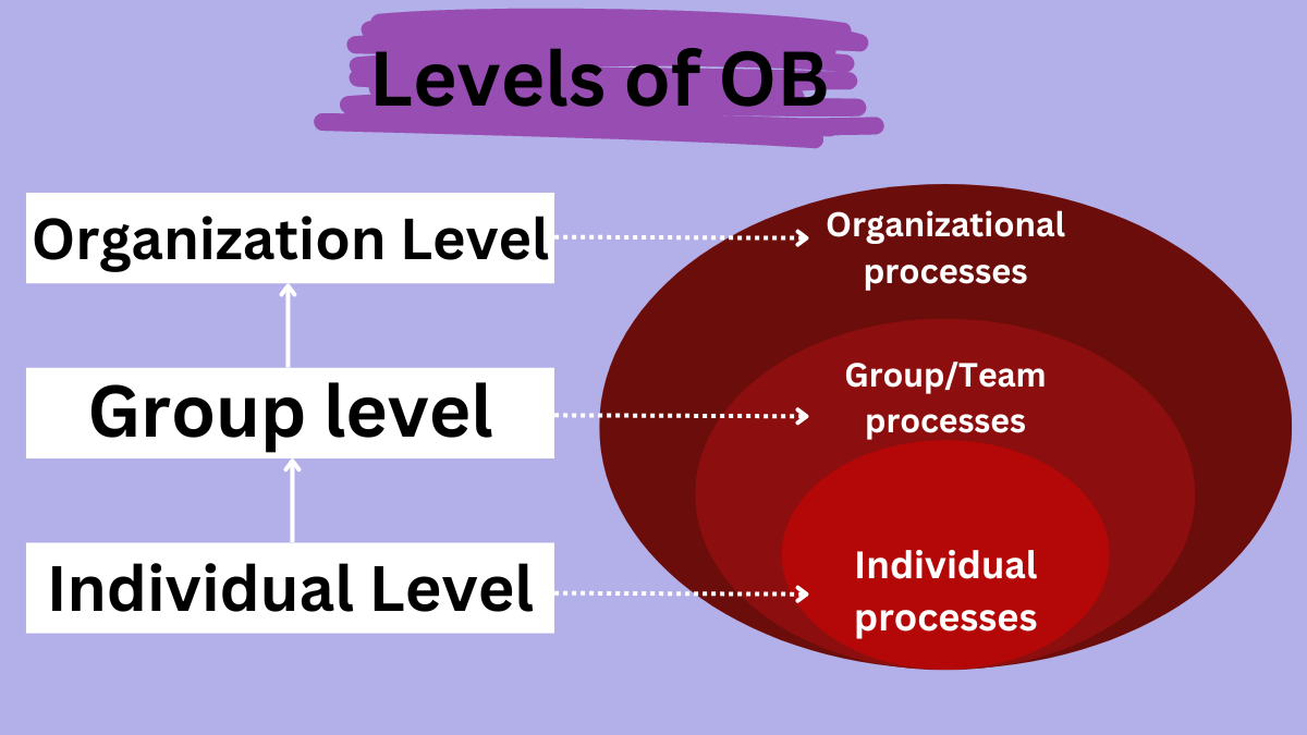 Levels of organizational behavior