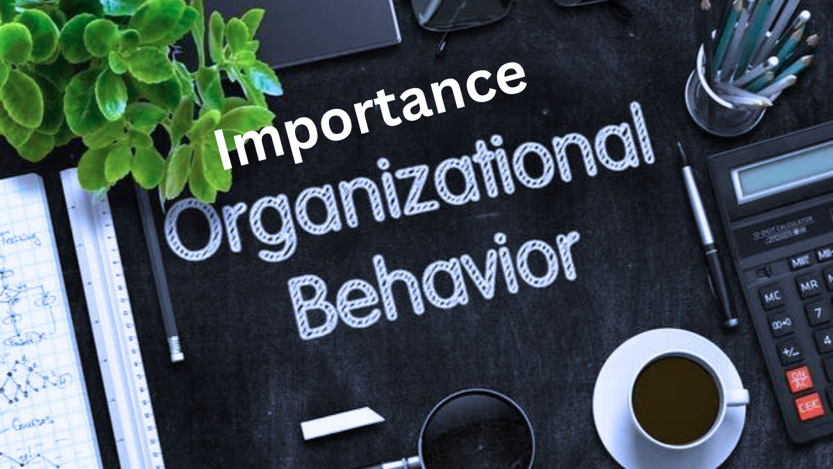 importance of organizational behavior