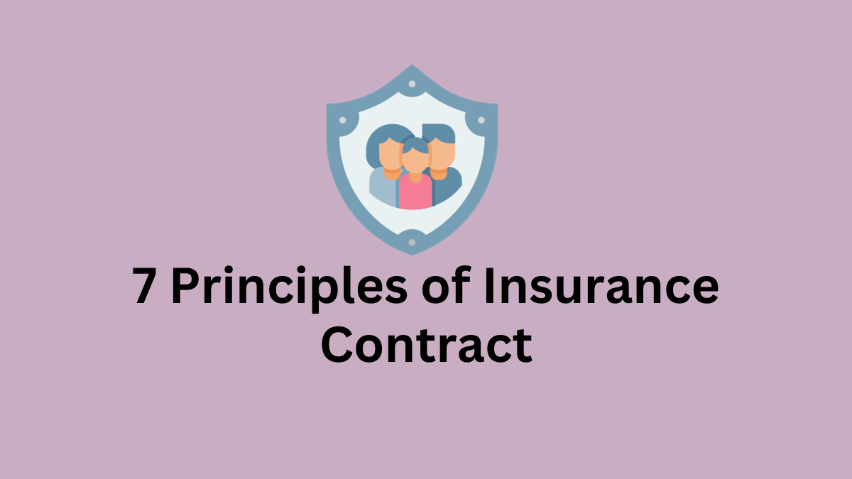 principles of insurance contract